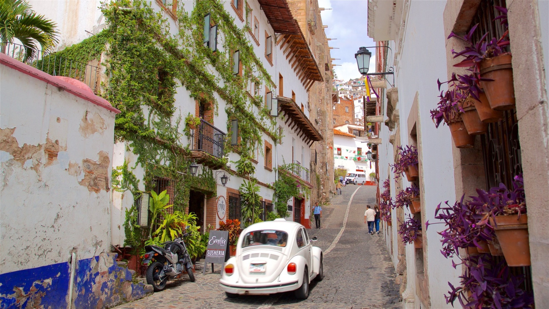 VisitTaxco.com