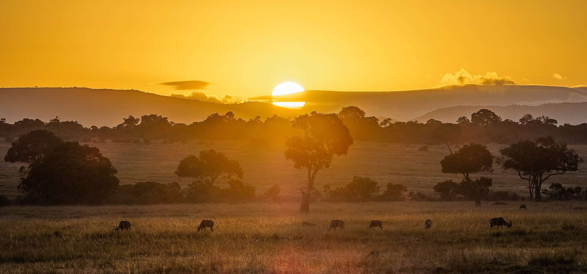 VisitMasaiMara.com